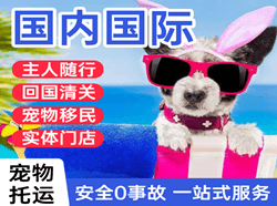 广州白云机场邮寄国际宠物托运 【国